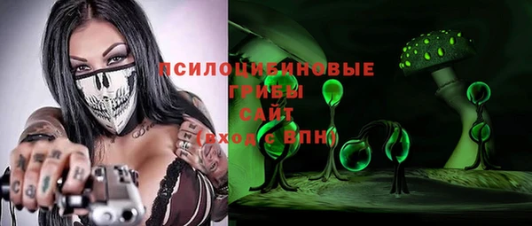 гидра Карталы