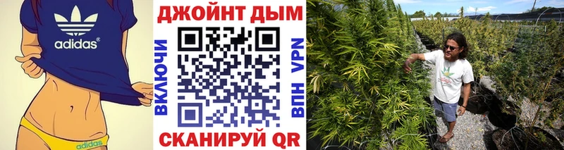 Купить закладки Губкинский Каннабис семена